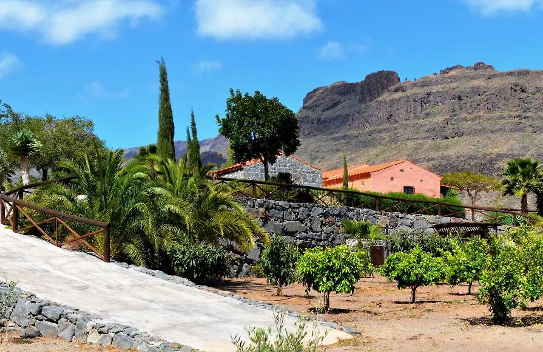 Finca Las Olivas - Unique Country House With Heated Pool-1